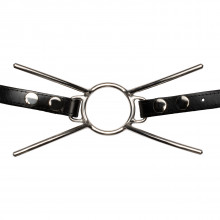 Cat Mouth Gag in Steel with Strap  1