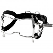 Whitehead Gag in Steel  1