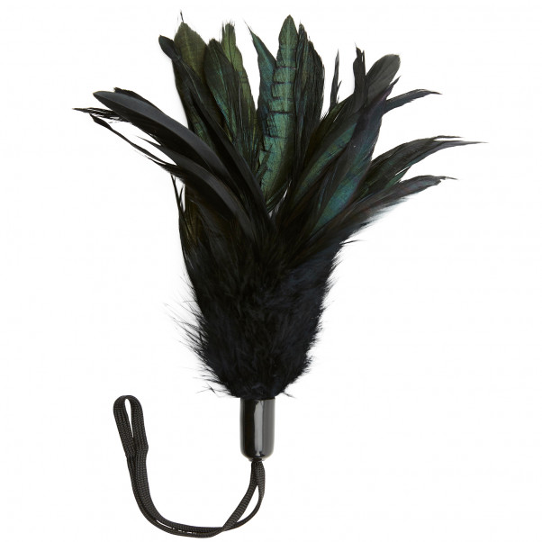 Sportsheets Seduction Feather  1