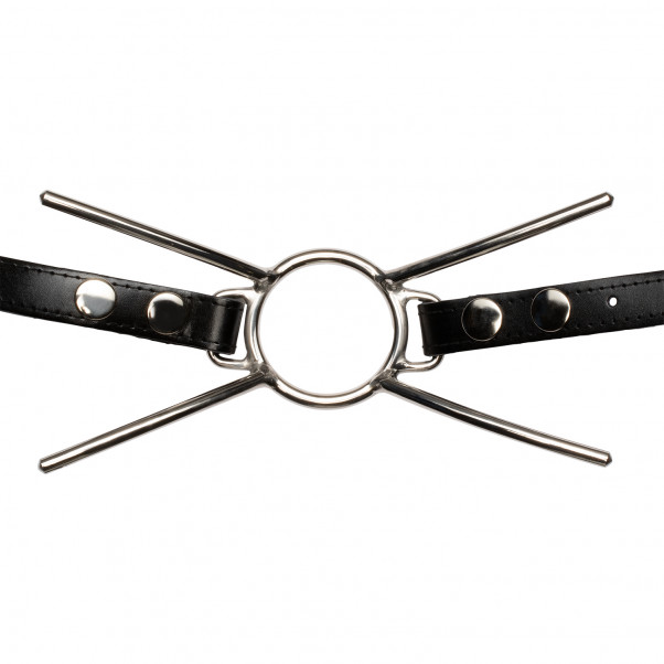 Cat Mouth Gag in Steel with Strap  1