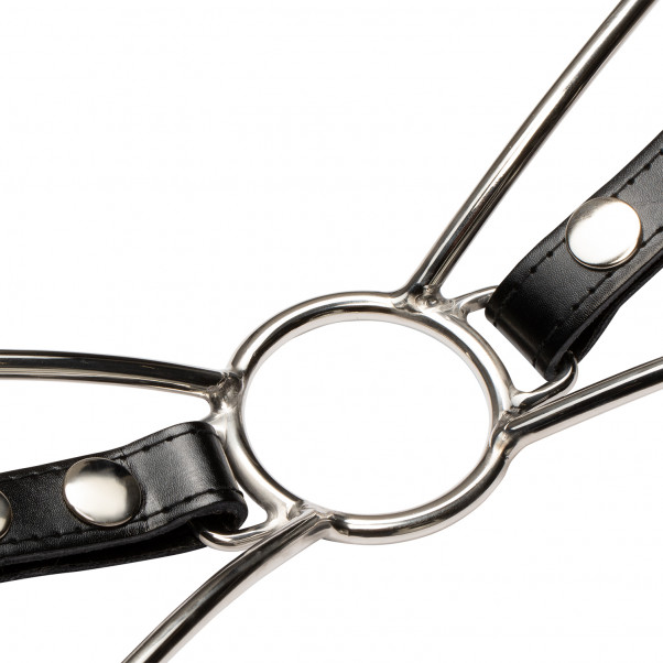 Cat Mouth Gag in Steel with Strap  4
