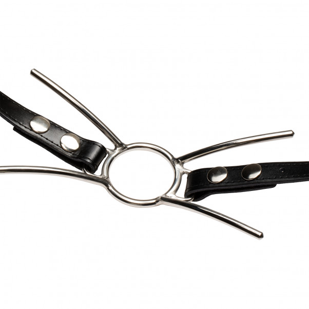 Cat Mouth Gag in Steel with Strap  3
