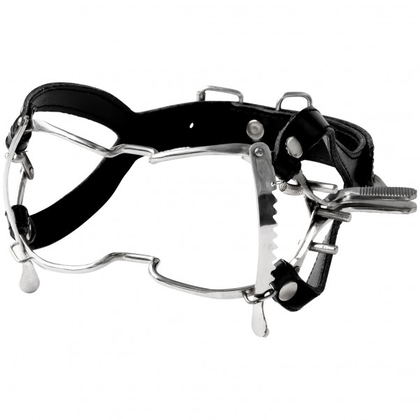 Whitehead Gag in Steel  1