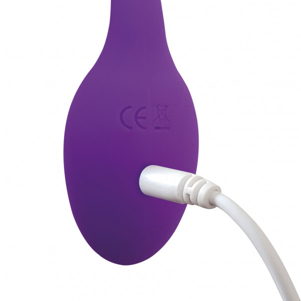 Adrien Lastic Smart Dream Vibrator Egg  3