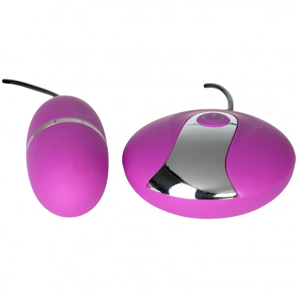 Baseks Multispeed Egg Vibrator  4