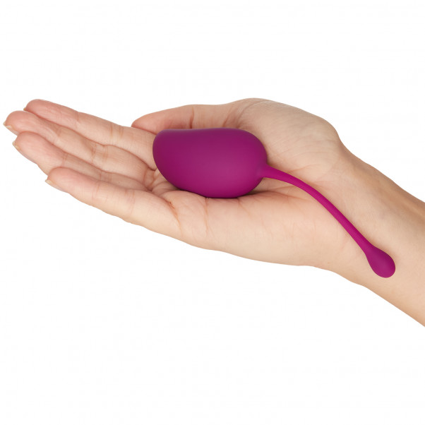 Baseks Kegel Balls Double product held in hand 50