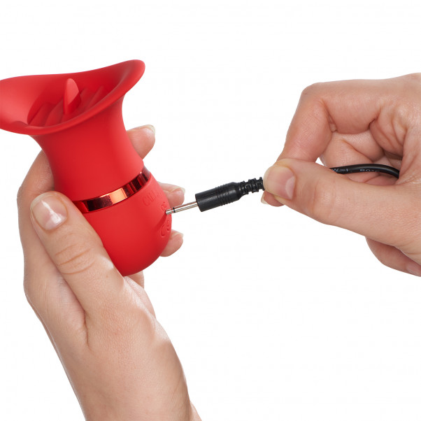 CalExotics French Kiss Charmer Vibrator product held in hand 51