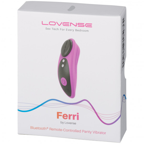 Lovense Ferri Remote Controlled Panty Vibrator product packaging image 90