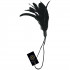 Sportsheets Seduction Feather  4
