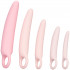 CalExotics Inspire Silicone Dilator Set  1