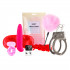 Sinful Sex Toy Starter Kit  1