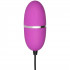 Baseks Multispeed Egg Vibrator  2