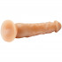 Willie City Realistic Lover Suction Cup Dildo 23 cm  4