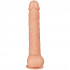 Willie City Classic Realistic Dildo with Suction Cup 27 cm  2