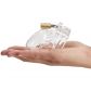 CB-6000S Chastity Device (6.35 cm) - AWARD WINNER  50