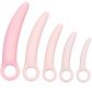 CalExotics Inspire Silicone Dilator Set  3