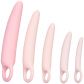 CalExotics Inspire Silicone Dilator Set  1