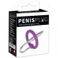 You2Toys Penis Plug with Glans Ring